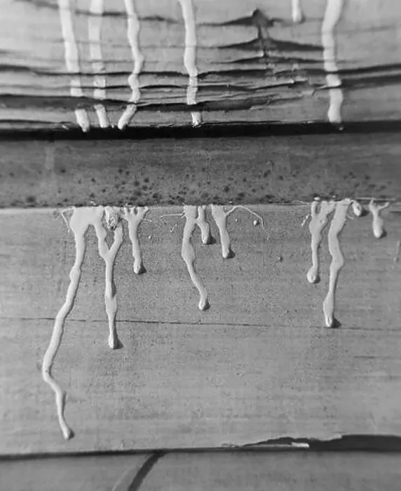 Framed Print : Paint dripping down a wooden structure Framed Print : Paint dripping down a wooden structure