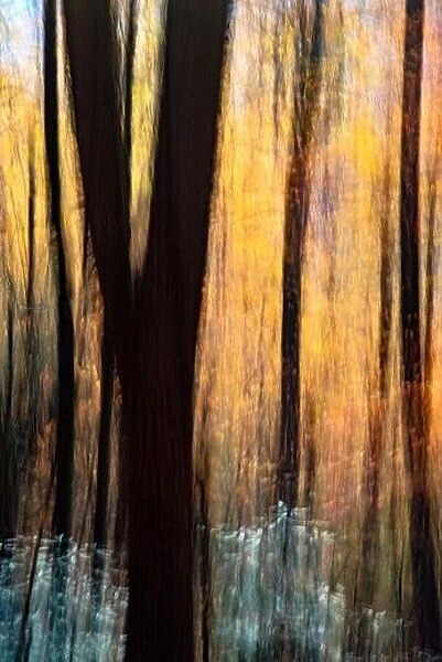 Painterly abstract motion blur of vibrant fall colors in Pisgah National Forest, Brevard, North Carolina, USA