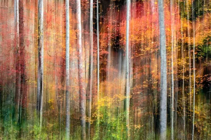 Framed Print : Painterly abstract motion blur of vibrant fall colors in Pisgah National Forest, Brevard, North Carolina, USA Framed Print : Painterly abstract motion blur of vibrant fall colors in Pisgah National Forest, Brevard, North Carolina, USA