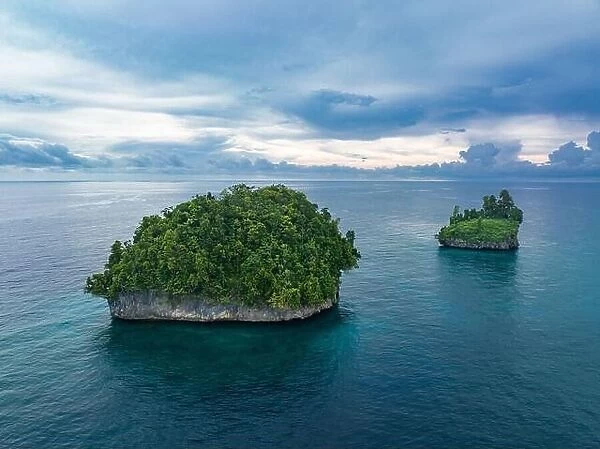 A pair of limestone islands, covered by vegetation, rise from West Papua's seascape. This region of Indonesia is known for its high biodiversity