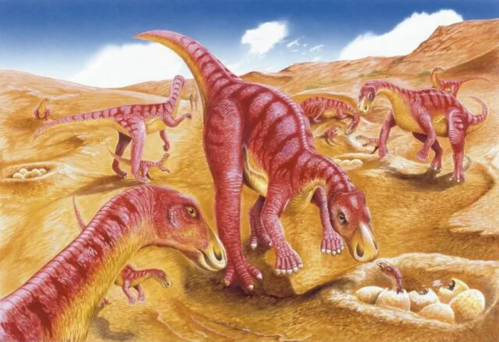Framed Print : Palaeozoology - Cretaceous period - Dinosaurs - Gilmoreosaurus - Art work