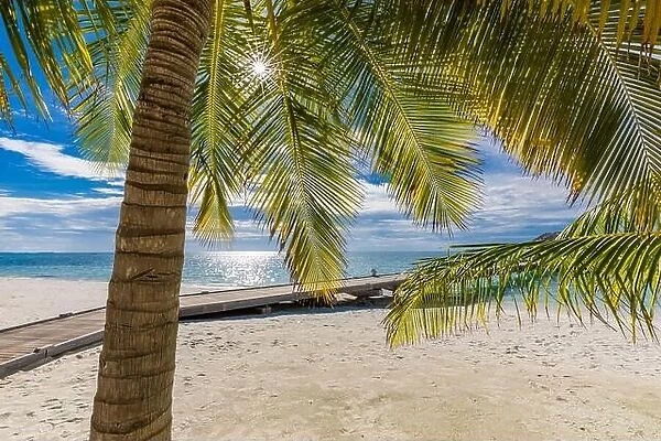Palm leaves in the sun calm tropical beach landscape. Relaxing palms on the sunny beach of coral island, sun rays, beams. Exotic nature, sea view