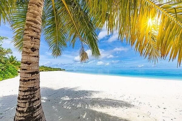 Palm tree leaves with sun rays on white sandy beach. Tropical nature paradise, sea view on exotic island. Relaxing, sunny tropical beach landscape