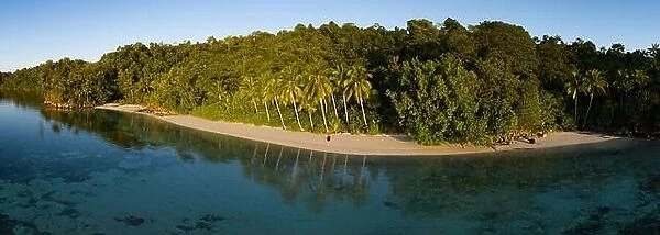 Palm trees grow along a scenic beach off the coast of West Papua, Indonesia. This remote part of Indonesia is known for its high marine biodiversity