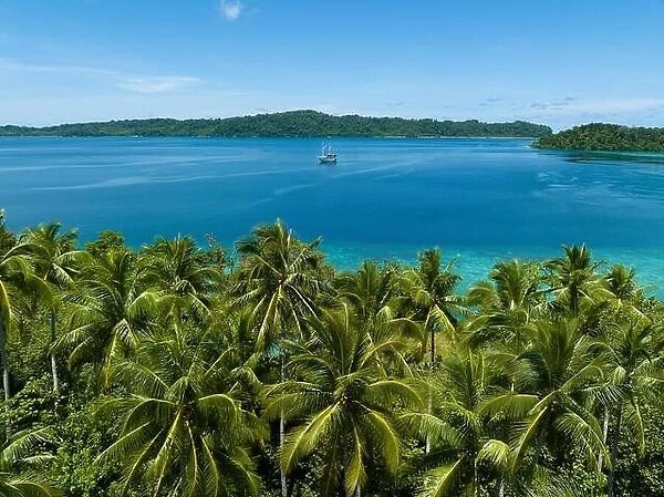 Palm trees grow on a scenic tropical island off the coast of West Papua, Indonesia. This remote part of Indonesia is known for its high biodiversity