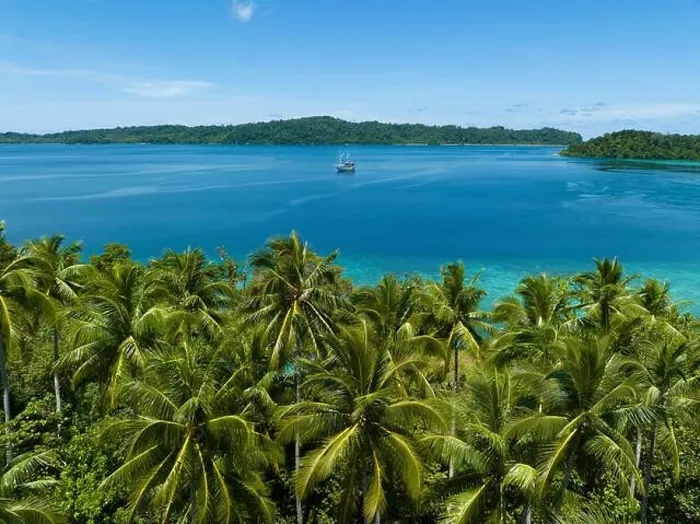 Framed Print : Palm trees grow on a scenic tropical island off the coast of West Papua, Indonesia. This remote part of Indonesia is known for its high biodiversity