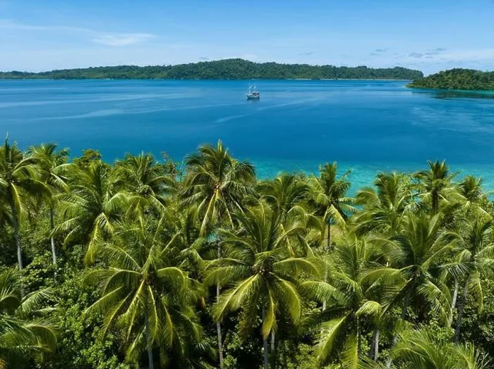 Framed Print : Palm trees grow on a scenic tropical island off the coast of West Papua, Indonesia. This remote part of Indonesia is known for its high biodiversity Framed Print : Palm trees grow on a scenic tropical island off the coast of West Papua, Indonesia. This remote part of Indonesia is known for its high biodiversity
