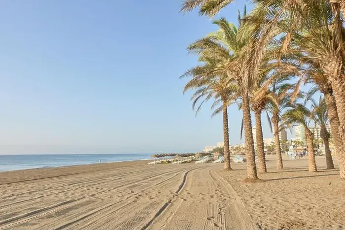 Framed Print : Palm trees on the wide sandy shore beach of Los Alamos in Torremolinos, Malaga, Andalusia, Spain Framed Print : Palm trees on the wide sandy shore beach of Los Alamos in Torremolinos, Malaga, Andalusia, Spain