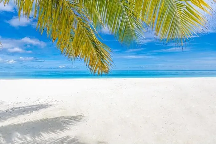 Framed Print : Palm and tropical beach, peaceful tranquil nature landscape. Seascape, white sand close to sea under blue sky. Amazing summer landscape Framed Print : Palm and tropical beach, peaceful tranquil nature landscape. Seascape, white sand close to sea under blue sky. Amazing summer landscape
