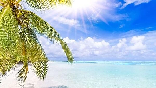 Palm and tropical beach. Tropical vacation paradise with white sandy beaches swaying palm trees with sun rays. Tranquil beach landscape, summer mood
