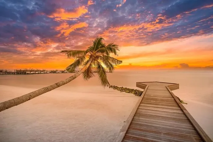 Framed Print : Palm and tropical beach with wooden pier, seascape, colorful sky. Summer tropical ocean view, relax tropical shore, coast. Copy space traveling Framed Print : Palm and tropical beach with wooden pier, seascape, colorful sky. Summer tropical ocean view, relax tropical shore, coast. Copy space traveling