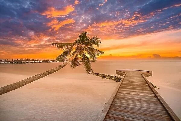 Palm and tropical beach with wooden pier, seascape, colorful sky. Summer tropical ocean view, relax tropical shore, coast. Copy space traveling