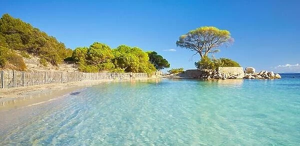 Palombaggia Beach, Porto-Vecchio, East Coast of Corsica Island, France