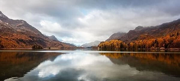 Panorama of atumn lake Sils (Silsersee) in Swiss Alps mountains. Colorful forest with orange larch. Switzerland, Maloja region, Upper Engadine