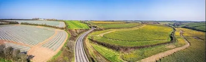 Framed Print : Panorama over Daffodil farm in Cornwall from a drone, England Framed Print : Panorama over Daffodil farm in Cornwall from a drone, England