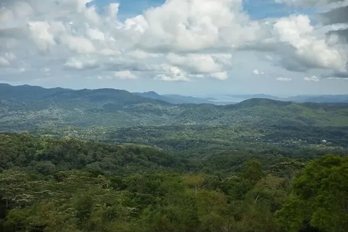Framed Print : Panorama drone shot over rainforest on Flores with green hills in background Framed Print : Panorama drone shot over rainforest on Flores with green hills in background