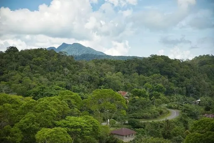 Framed Print : Panorama drone shot over rainforest on Flores with green hills in background Framed Print : Panorama drone shot over rainforest on Flores with green hills in background