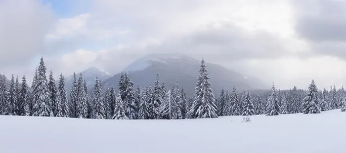 Framed Print : Panorama of fantastic winter landscape with snowy trees. Carpathian mountains, Ukraine, Europe. Christmas holiday concept Framed Print : Panorama of fantastic winter landscape with snowy trees. Carpathian mountains, Ukraine, Europe. Christmas holiday concept