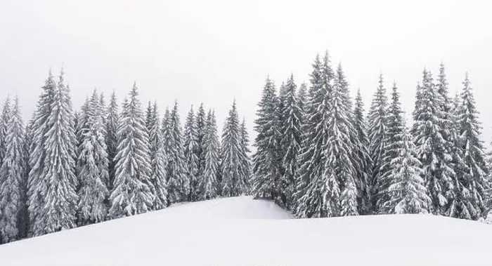 Framed Print : Panorama of fantastic winter landscape with snowy trees and cloudy sky. Carpathian mountains, Ukraine, Europe. Christmas holiday concept Framed Print : Panorama of fantastic winter landscape with snowy trees and cloudy sky. Carpathian mountains, Ukraine, Europe. Christmas holiday concept