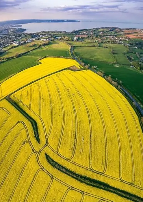 Framed Print : Panorama over Farmlands and Rapeseed fields from a drone, Devon, England Framed Print : Panorama over Farmlands and Rapeseed fields from a drone, Devon, England