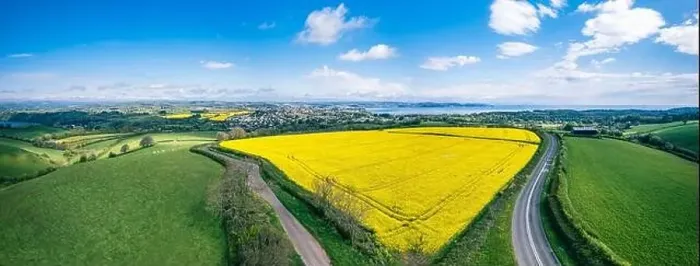 Framed Print : Panorama over Farmlands and Rapeseed fields from a drone, Devon, England Framed Print : Panorama over Farmlands and Rapeseed fields from a drone, Devon, England
