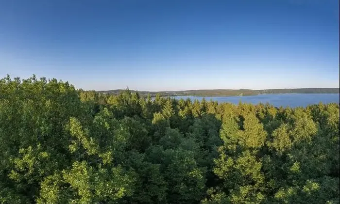 Framed Print : Panorama of the forest and lake by Satila village in sweden Framed Print : Panorama of the forest and lake by Satila village in sweden