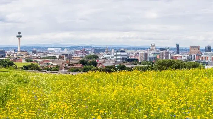 Framed Print : Panorama of the Liverpool skyline seen over a pretty flower meadow on Everton Park Framed Print : Panorama of the Liverpool skyline seen over a pretty flower meadow on Everton Park