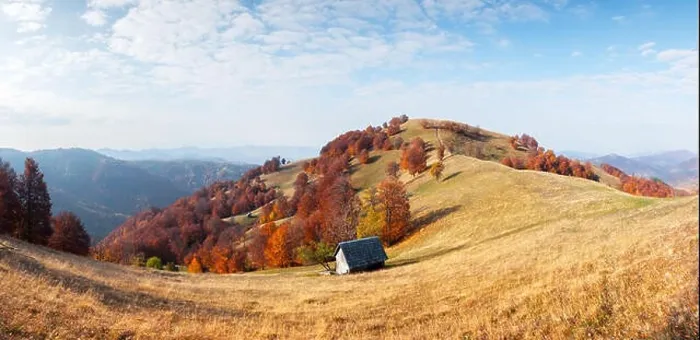 Framed Print : Panorama of picturesque autumn meadow with wooden house and red beech trees in the Carpathian mountains, Ukraine. Landscape photography Framed Print : Panorama of picturesque autumn meadow with wooden house and red beech trees in the Carpathian mountains, Ukraine. Landscape photography