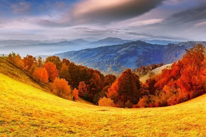 Framed Print : Panorama of picturesque autumn mountains with red beech forest in the foreground. Landscape photography Framed Print : Panorama of picturesque autumn mountains with red beech forest in the foreground. Landscape photography