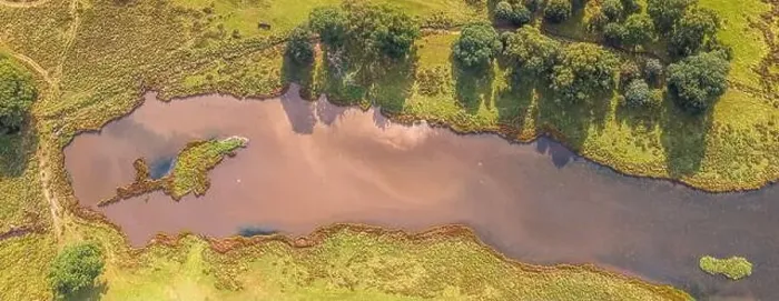 Framed Print : Panorama of Pond in Powderham Park from a drone, Powderham Castle, Exeter, Devon, England, Europe Framed Print : Panorama of Pond in Powderham Park from a drone, Powderham Castle, Exeter, Devon, England, Europe