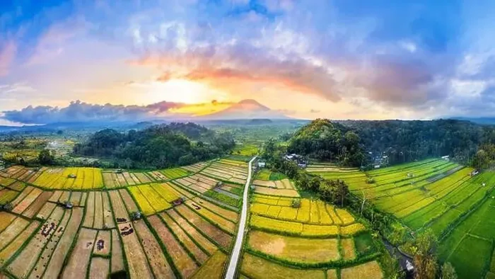 Framed Print : Panorama of rice field and mount Agung in Bali, Indonesia Framed Print : Panorama of rice field and mount Agung in Bali, Indonesia