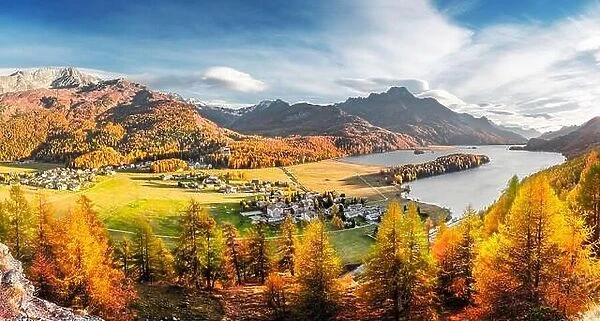 Panorama of Sils village and lake Sils (Silsersee) in Swiss Alps mountains. Colorful forest with orange larch