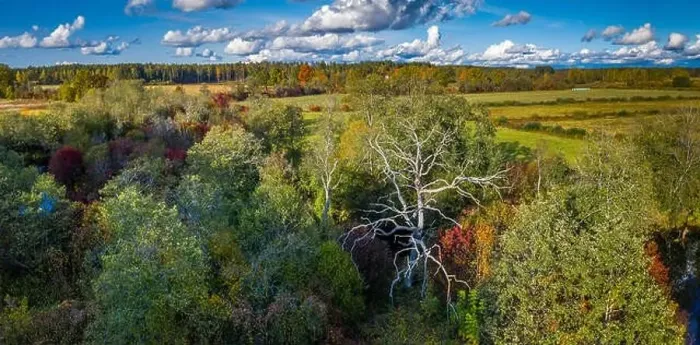 Framed Print : Panorama view of autumn forest and field from above. Latvian nature Framed Print : Panorama view of autumn forest and field from above. Latvian nature