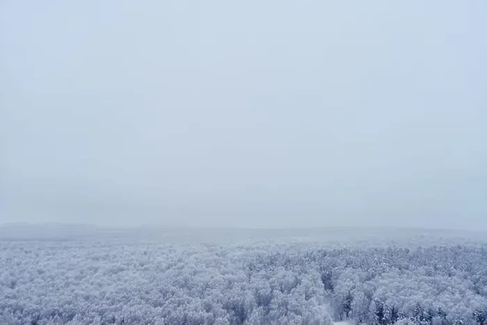 Framed Print : Panorama of a winter forest with white trees in the snow, copy space for text. Panoramic top view of the snowy park Framed Print : Panorama of a winter forest with white trees in the snow, copy space for text. Panoramic top view of the snowy park