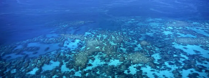 Framed Print : A panoramic aerial photograph of the clear blue waters of the Great Barrier Reef Australia credit JR Marshall Framed Print : A panoramic aerial photograph of the clear blue waters of the Great Barrier Reef Australia credit JR Marshall