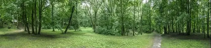 Framed Print : panoramic aerial view of green park landscape on summer cloudy day. picturesque green forest scenery Framed Print : panoramic aerial view of green park landscape on summer cloudy day. picturesque green forest scenery
