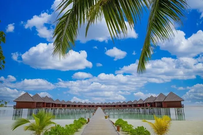 Framed Print : Panoramic landscape of Maldives beach, palm leaves. Tropical panorama, luxury water villa resort wooden pier or jetty. Luxury island travel wallpaper Framed Print : Panoramic landscape of Maldives beach, palm leaves. Tropical panorama, luxury water villa resort wooden pier or jetty. Luxury island travel wallpaper