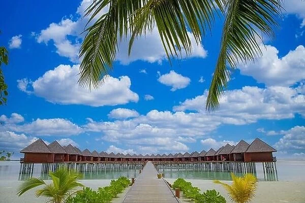 Panoramic landscape of Maldives beach, palm leaves. Tropical panorama, luxury water villa resort wooden pier or jetty. Luxury island travel wallpaper