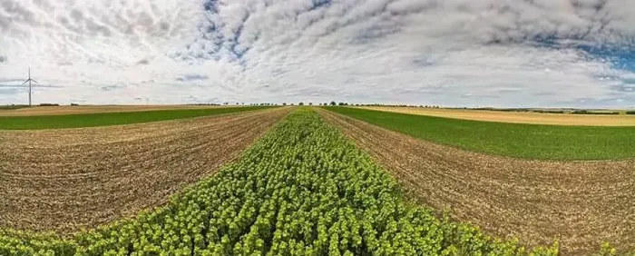 Framed Print : Panoramic View on Agriculture Fields Crop Framed Print : Panoramic View on Agriculture Fields Crop