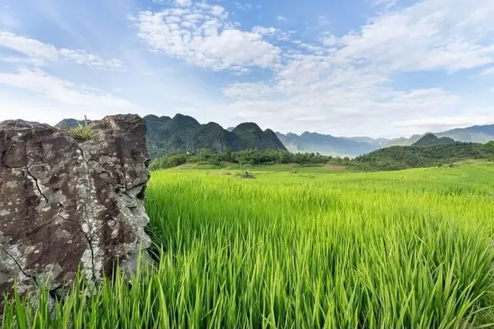 Framed Print : Panoramic view of beautiful green terraces of Pu Luong commune, Thanh Hoa province, Vietnam Framed Print : Panoramic view of beautiful green terraces of Pu Luong commune, Thanh Hoa province, Vietnam