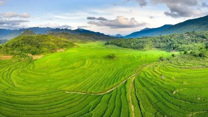 Framed Print : Panoramic view of beautiful green terraces of Pu Luong commune, Thanh Hoa province, Vietnam Framed Print : Panoramic view of beautiful green terraces of Pu Luong commune, Thanh Hoa province, Vietnam