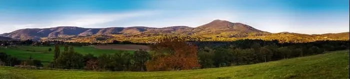 Framed Print : Panoramic view of the beautiful vineyards of Alsace in the fall. Bright yellow color prevails. France Framed Print : Panoramic view of the beautiful vineyards of Alsace in the fall. Bright yellow color prevails. France