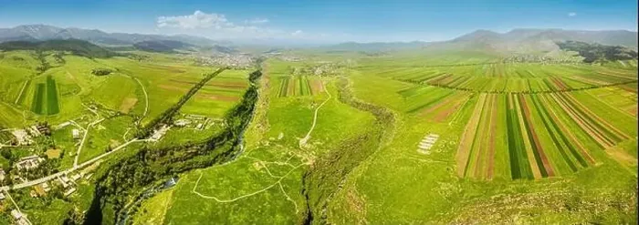 Framed Print : Panoramic view from the drone on the rows of agricultural land sown with crops Framed Print : Panoramic view from the drone on the rows of agricultural land sown with crops