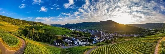 Framed Print : Panoramic view of the Moselle vineyards near Bruttig-Fankel Framed Print : Panoramic view of the Moselle vineyards near Bruttig-Fankel