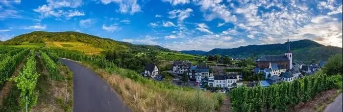 Framed Print : Panoramic view of the Moselle vineyards near Bruttig-Fankel Framed Print : Panoramic view of the Moselle vineyards near Bruttig-Fankel