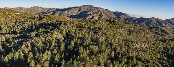 Framed Print : Panoramic view of mountains covered by forest in the southern part of California Framed Print : Panoramic view of mountains covered by forest in the southern part of California