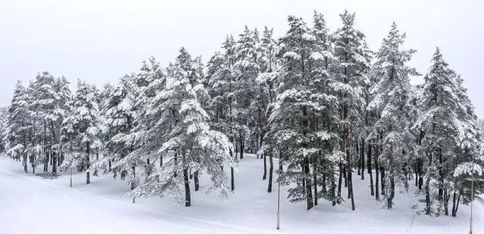 Framed Print : panoramic view of the snowy park with white trees in the snow. aerial drone photo Framed Print : panoramic view of the snowy park with white trees in the snow. aerial drone photo