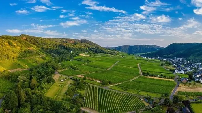 Framed Print : Panoramic view of vineyards on the Moselle, Germany. Drone photography Framed Print : Panoramic view of vineyards on the Moselle, Germany. Drone photography