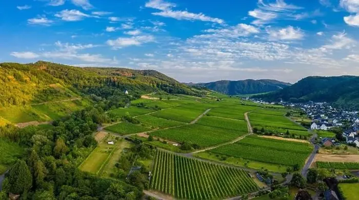 Framed Print : Panoramic view of vineyards on the Moselle Framed Print : Panoramic view of vineyards on the Moselle