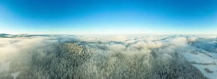 Framed Print : Panoramic Winter Forest on Frosty Morning Aerial Drone View Framed Print : Panoramic Winter Forest on Frosty Morning Aerial Drone View